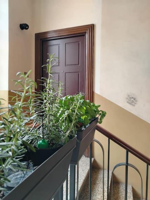 Bnb Citylifers Milano Dış mekan fotoğraf